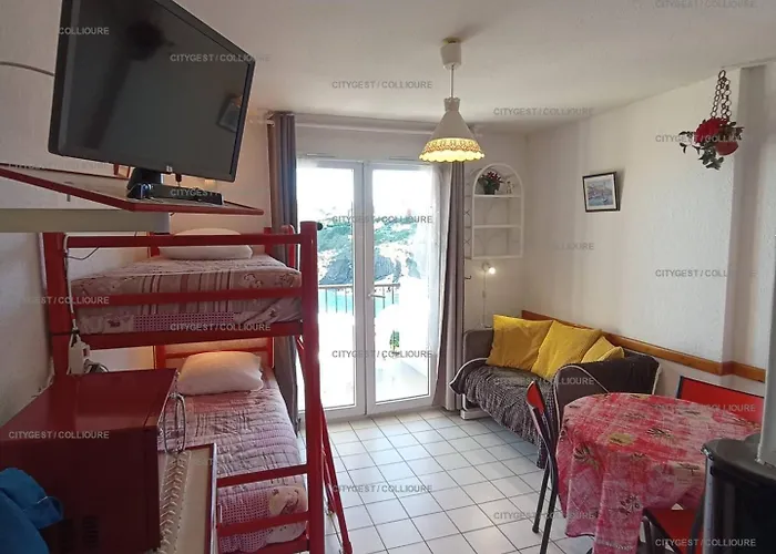 4rb67 1 Avec Vue Apartment Collioure